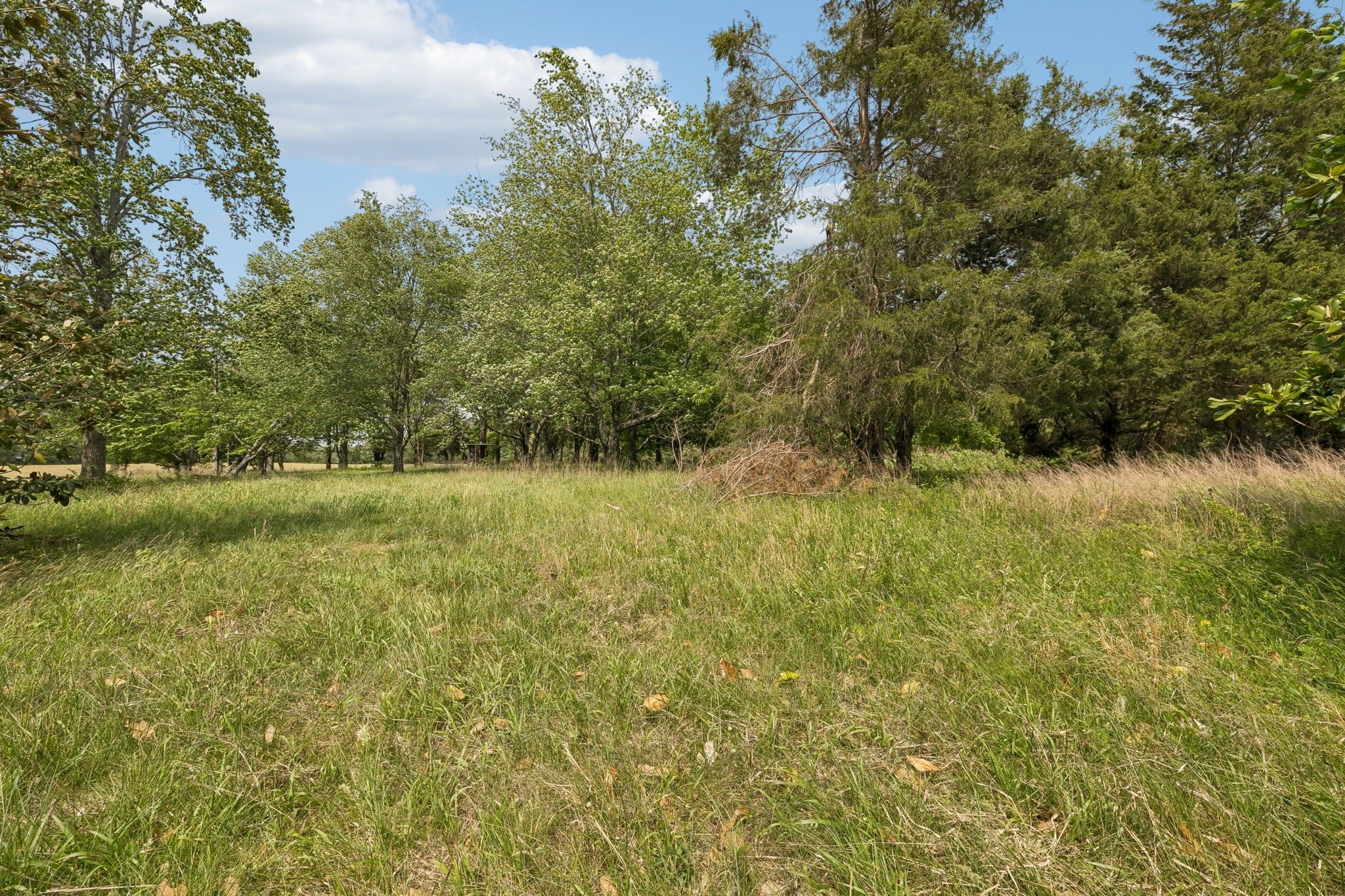 473 Hickory Corner Road Bethpage, TN 37022 - Photo 33 of 45 a view of outdoor space and yard