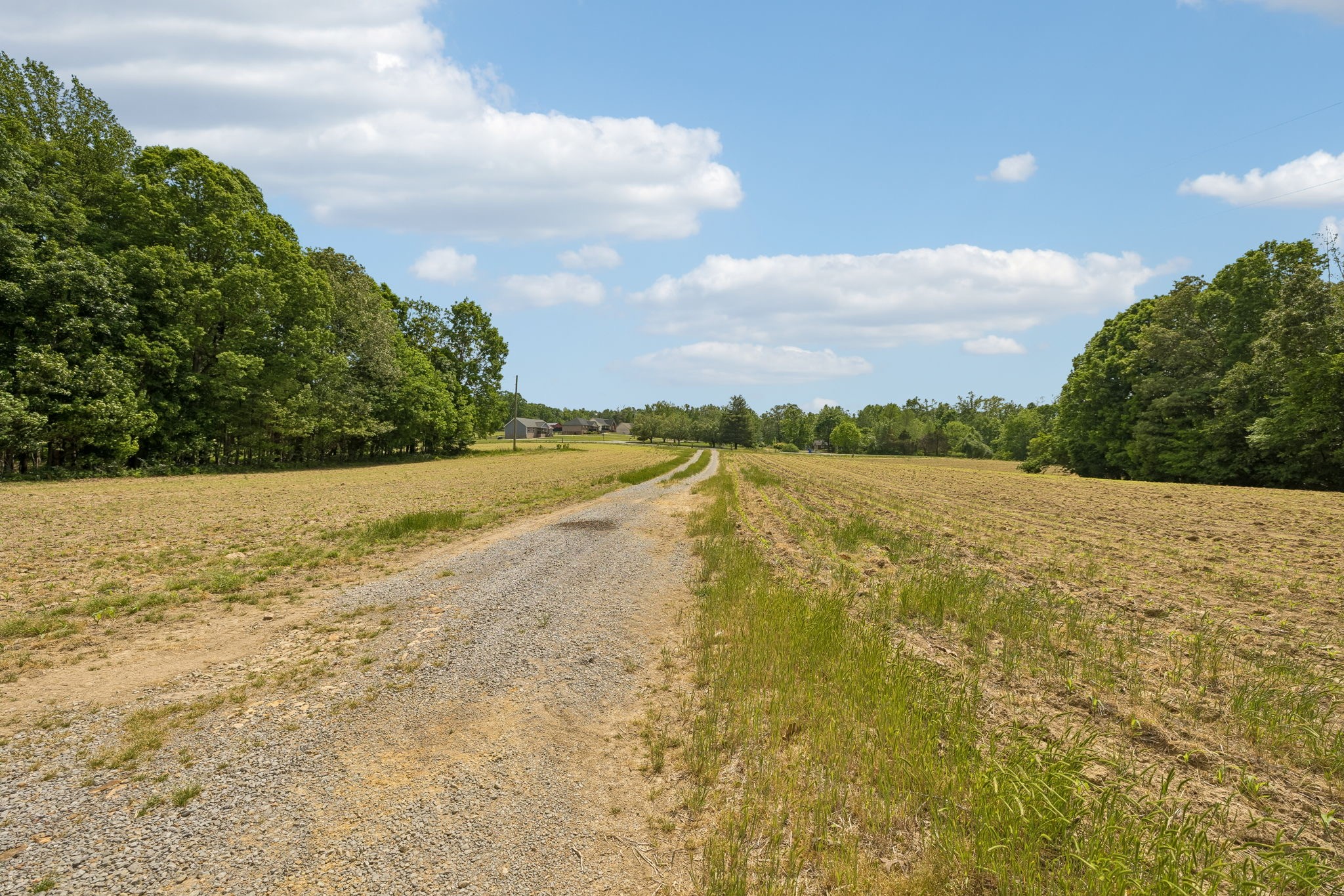 473 Hickory Corner Road Bethpage, TN 37022 - Photo 34 of 45 a view of an ocean beach