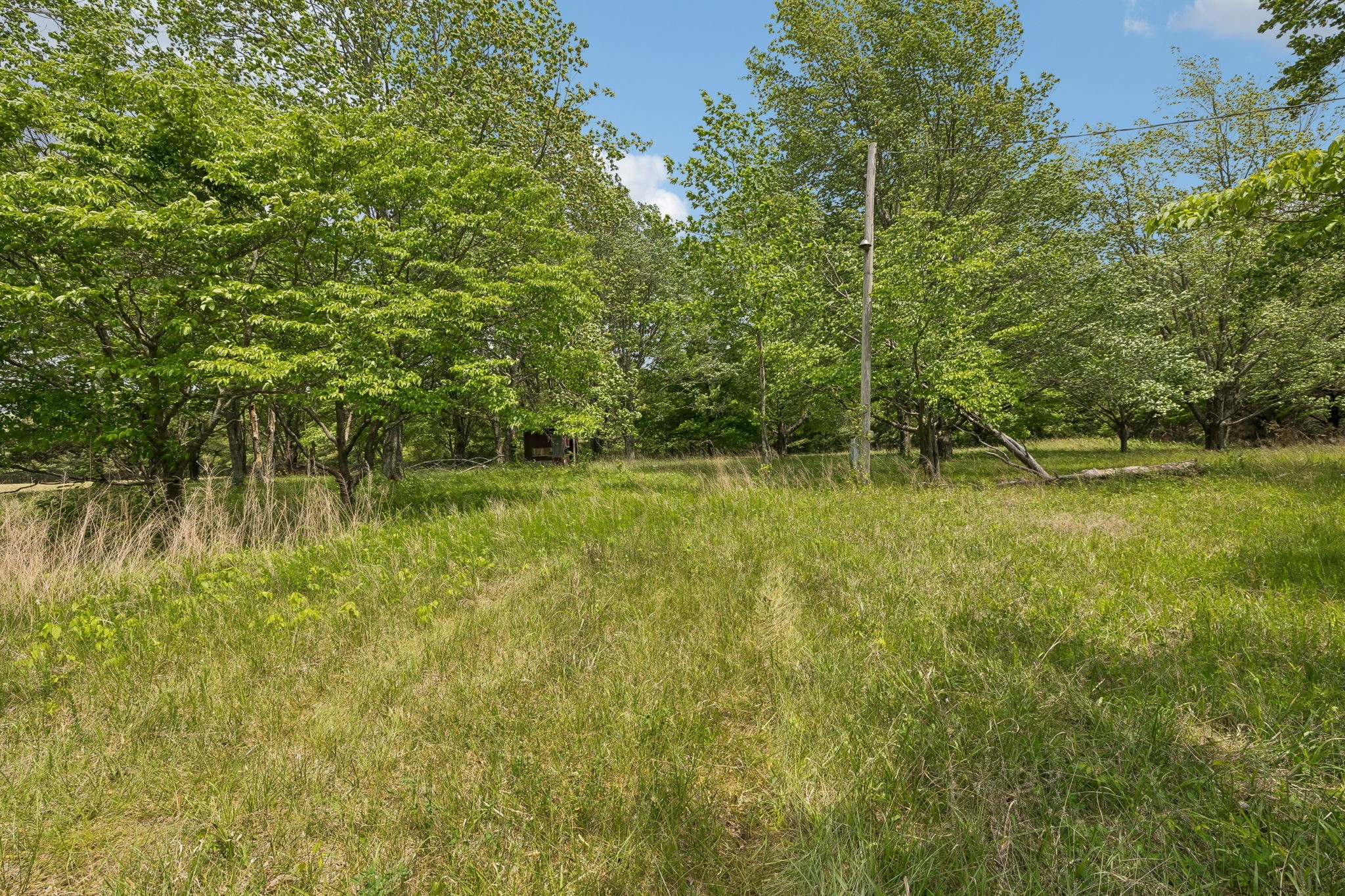 473 Hickory Corner Road Bethpage, TN 37022 - Photo 35 of 45 a backyard of a house with lots of green space and lake view