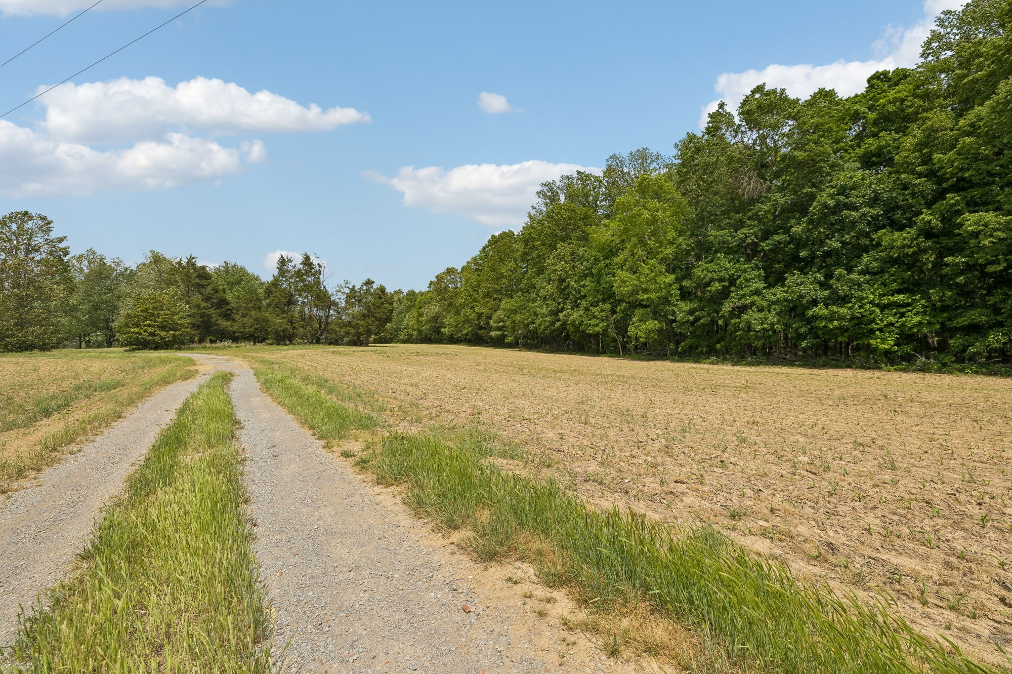 473 Hickory Corner Road Bethpage, TN 37022 - Photo 37 of 45 a view of an outdoor space and a lake view
