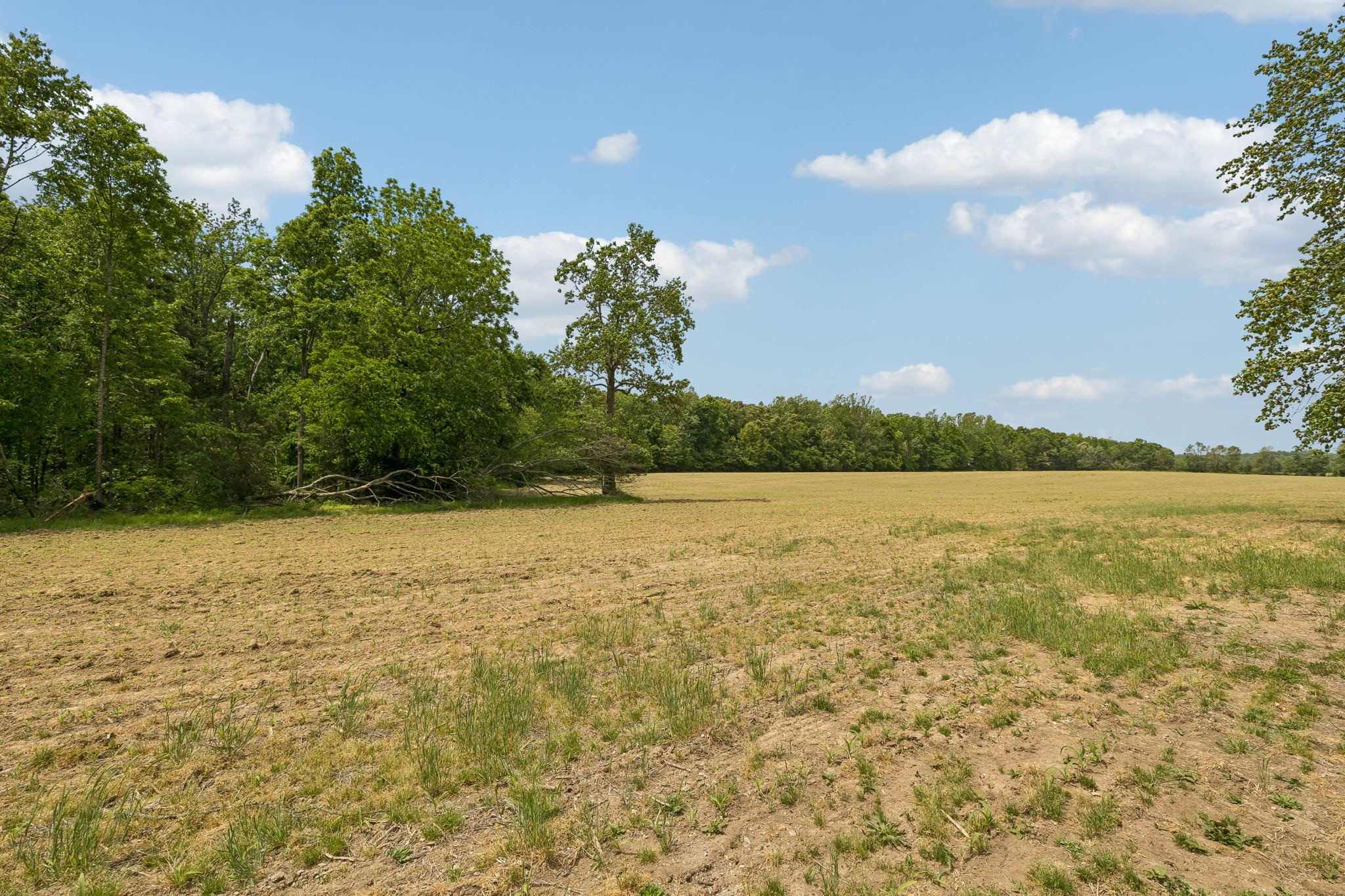 473 Hickory Corner Road Bethpage, TN 37022 - Photo 39 of 45 a view of lake with mountain in the background