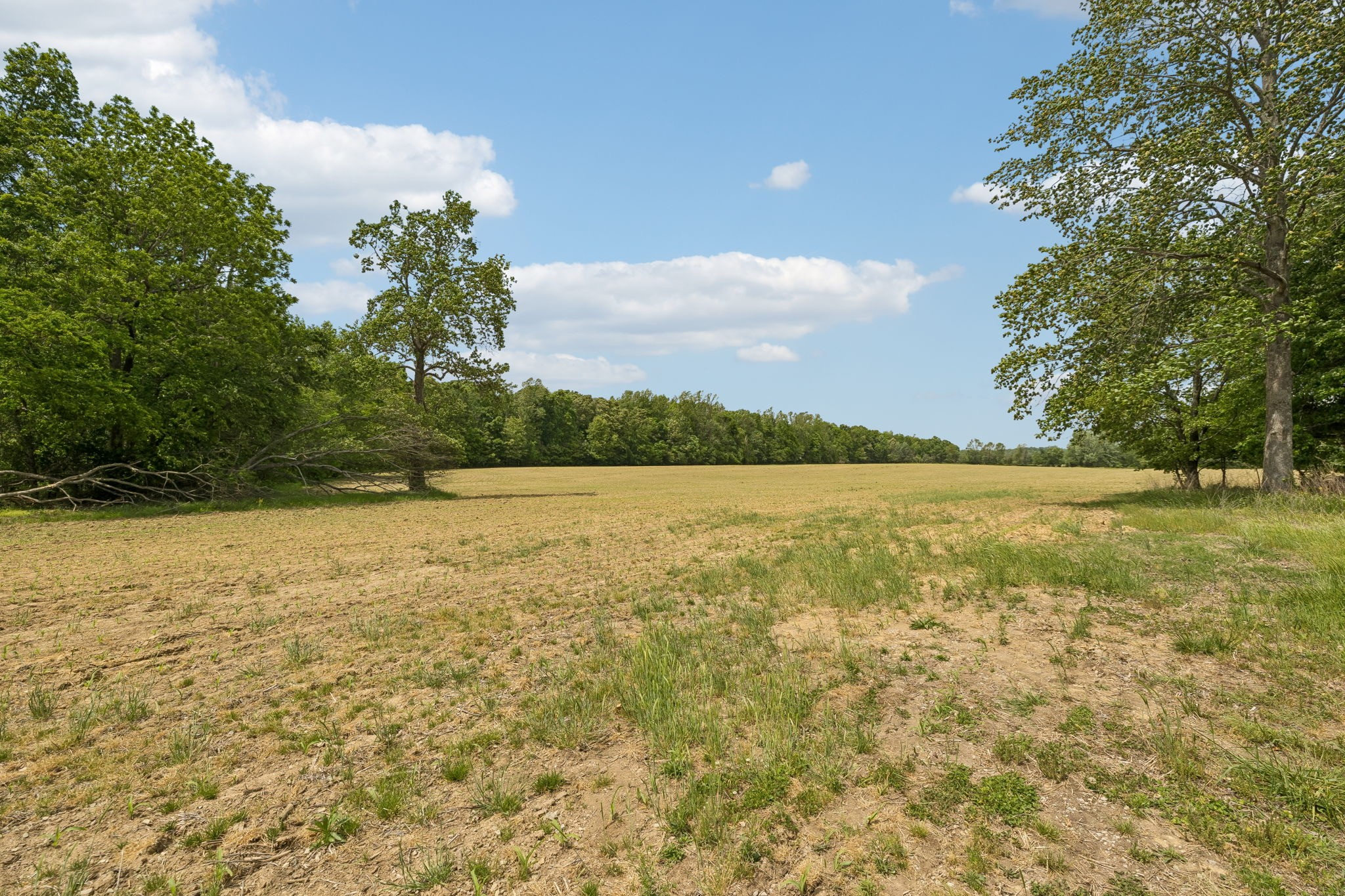 473 Hickory Corner Road Bethpage, TN 37022 - Photo 40 of 45 a view of a lake view