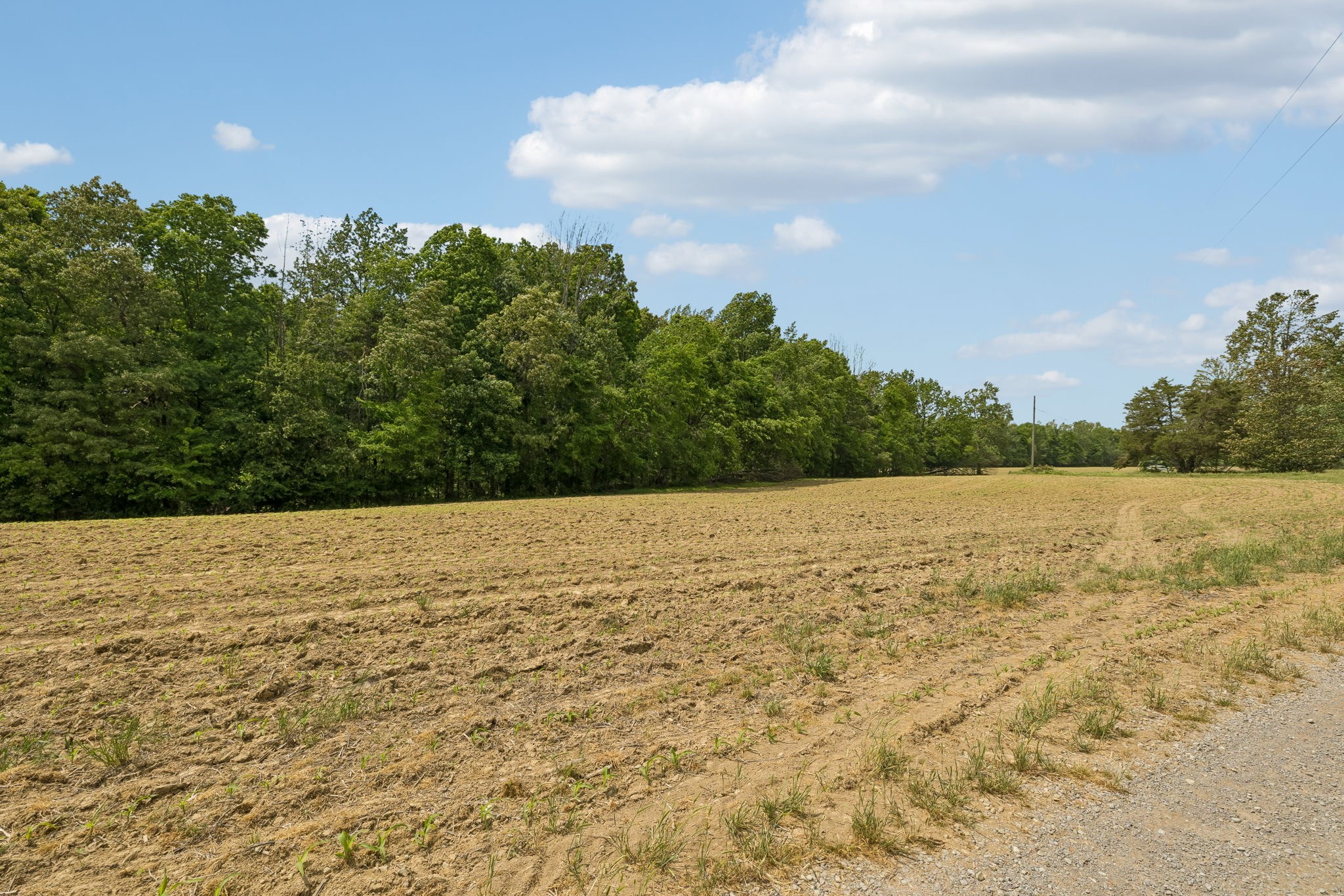 473 Hickory Corner Road Bethpage, TN 37022 - Photo 41 of 45 a view of lake view and mountain view