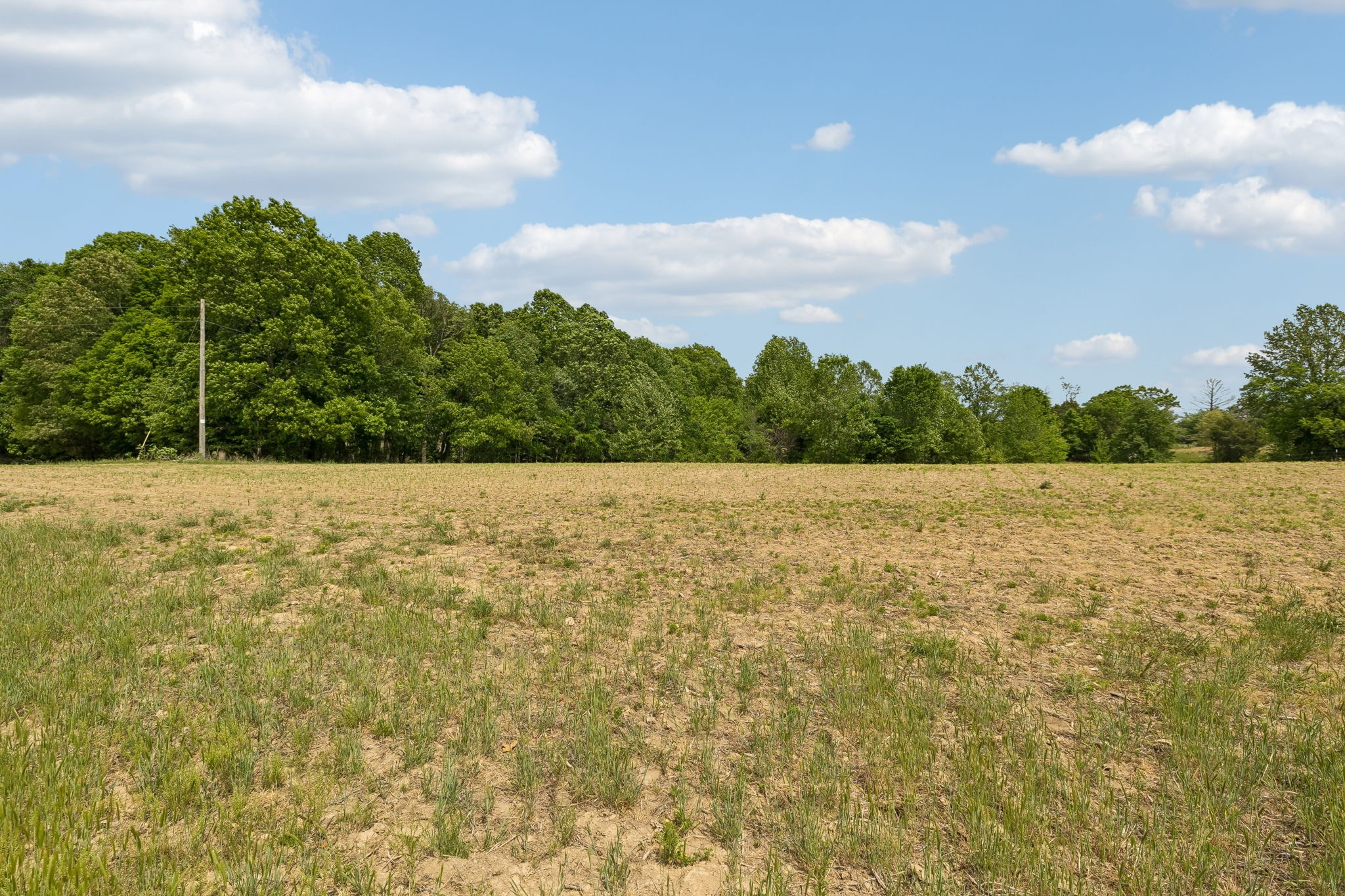 473 Hickory Corner Road Bethpage, TN 37022 - Photo 42 of 45 a view of a lake view