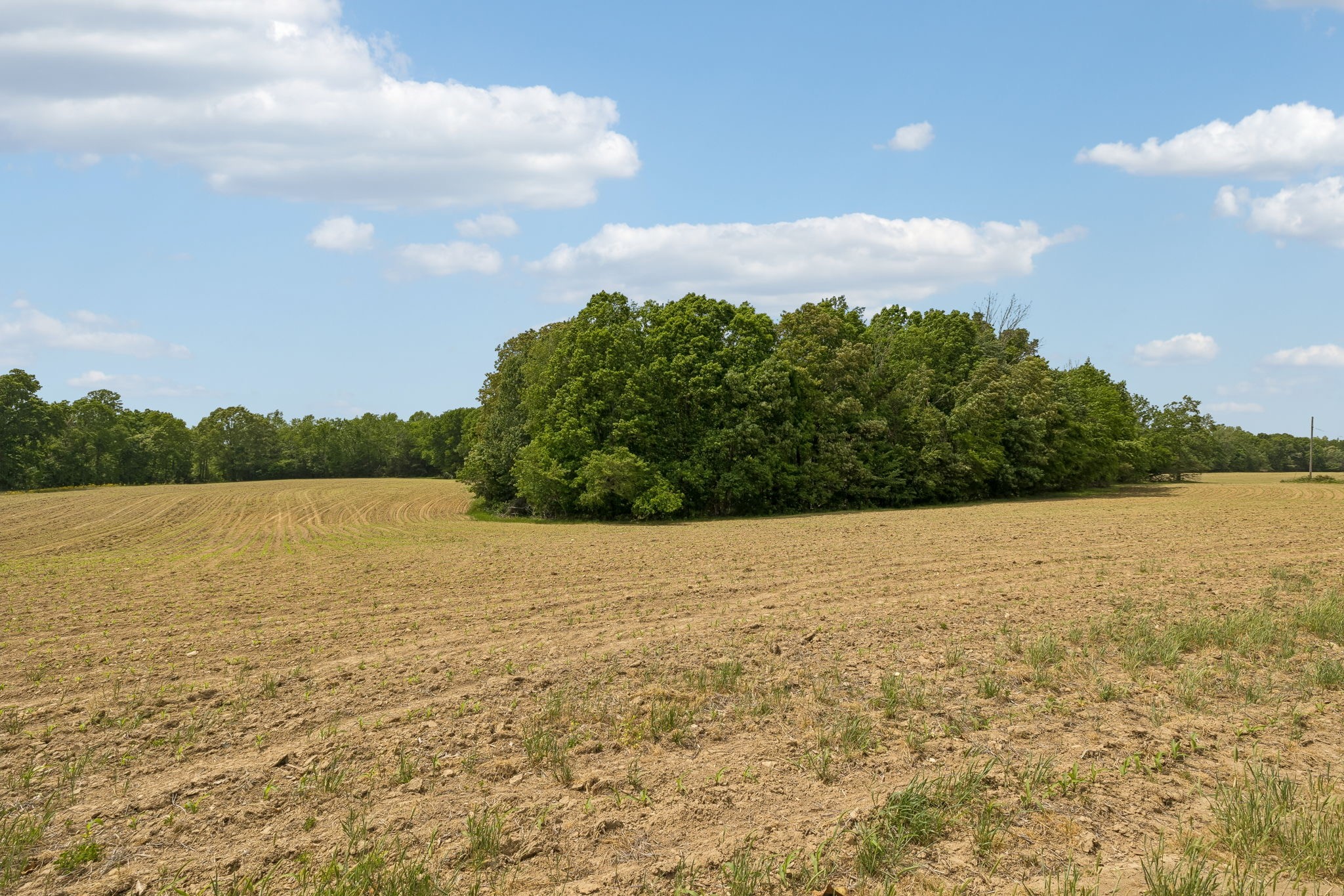 473 Hickory Corner Road Bethpage, TN 37022 - Photo 43 of 45 a view of lake and mountain