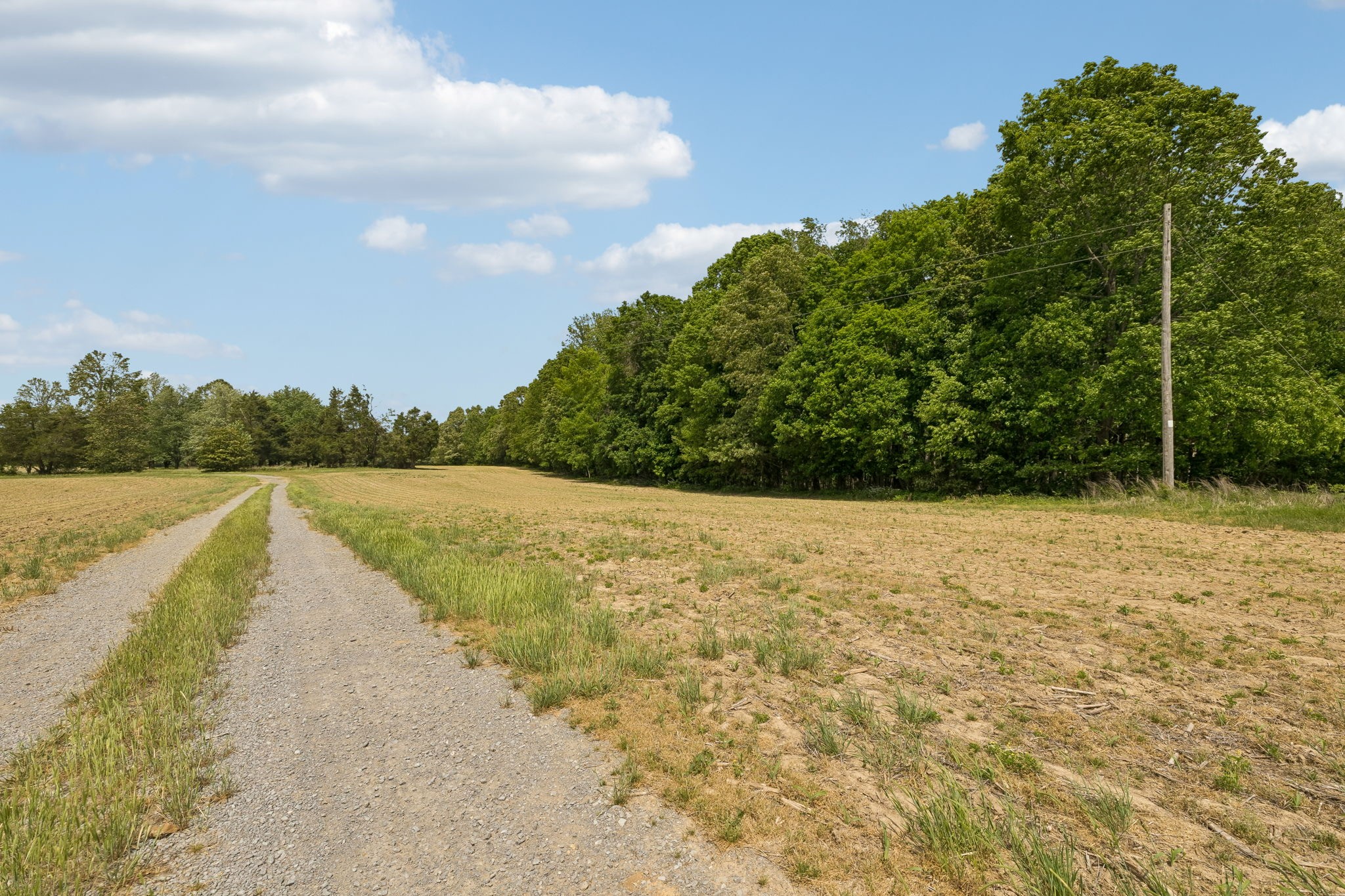 473 Hickory Corner Road Bethpage, TN 37022 - Photo 44 of 45 a view of a lake