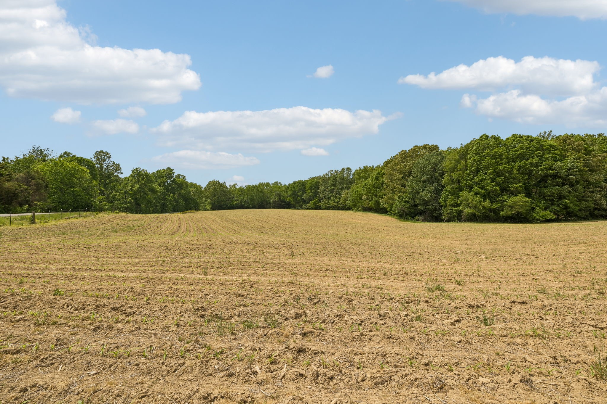 473 Hickory Corner Road Bethpage, TN 37022 - Photo 45 of 45 a view of lake and mountain