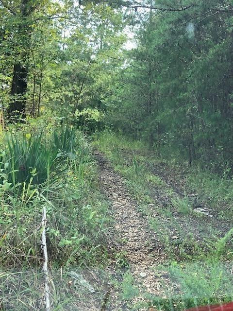 940 Beech Fork Road Clay City, KY 40312 - Photo 3 of 18 Photo 3