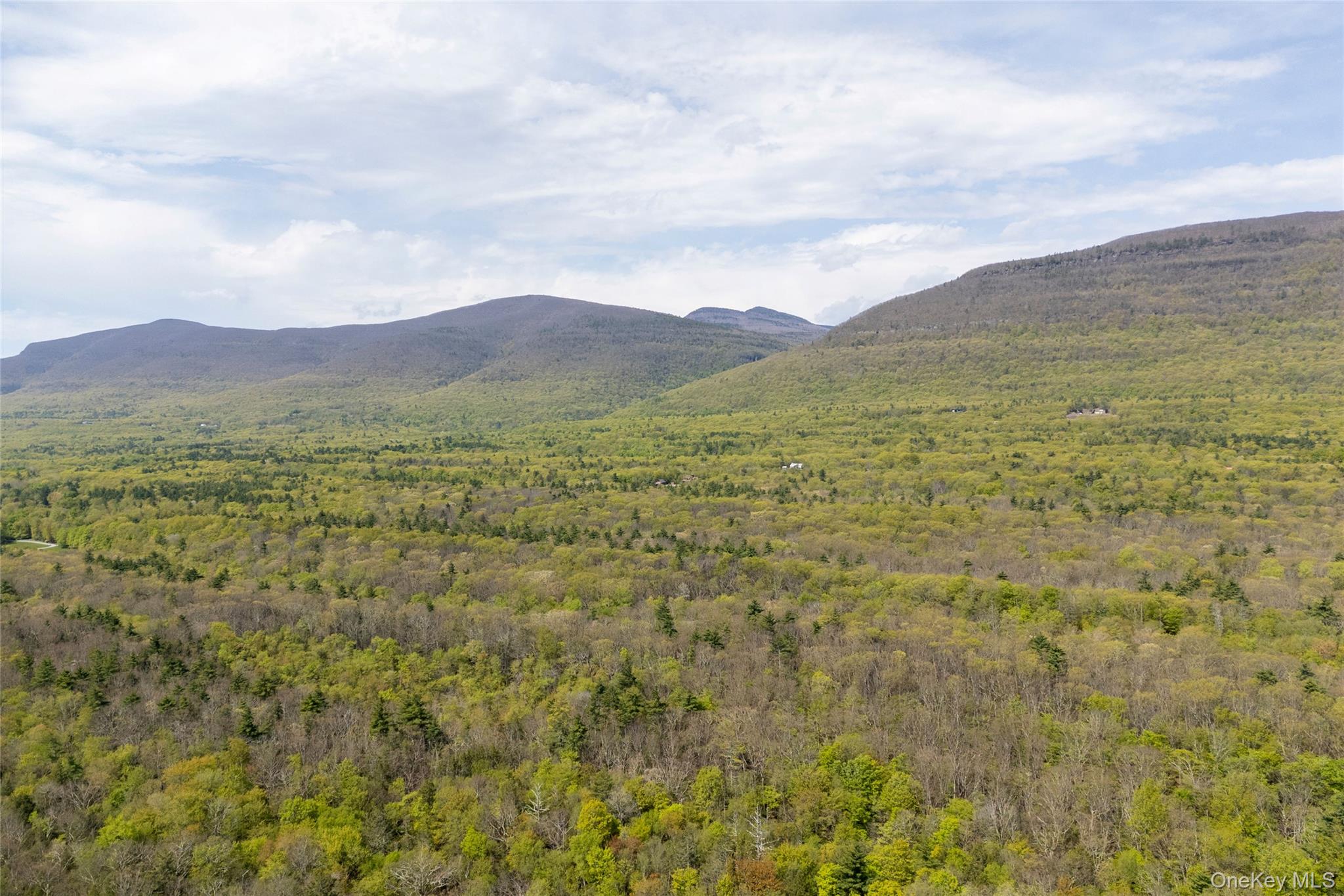45 Charles Hommel Road Saugerties, NY 12477 - Photo 33 of 39 a view of an outdoor space and mountains
