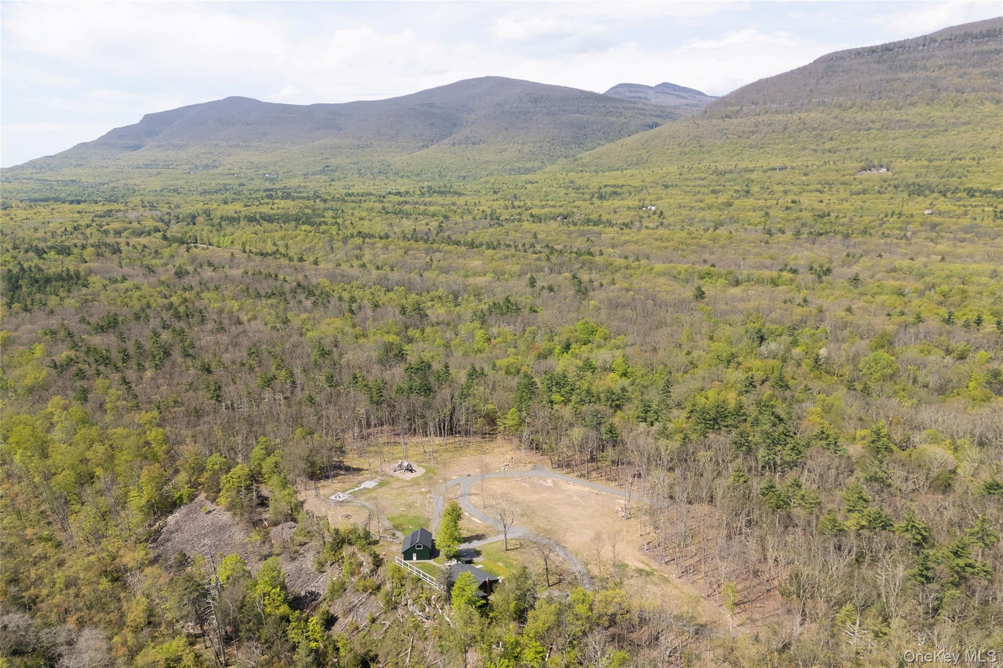 45 Charles Hommel Road Saugerties, NY 12477 - Photo 5 of 39 a view of a lush green hillside and a mountain