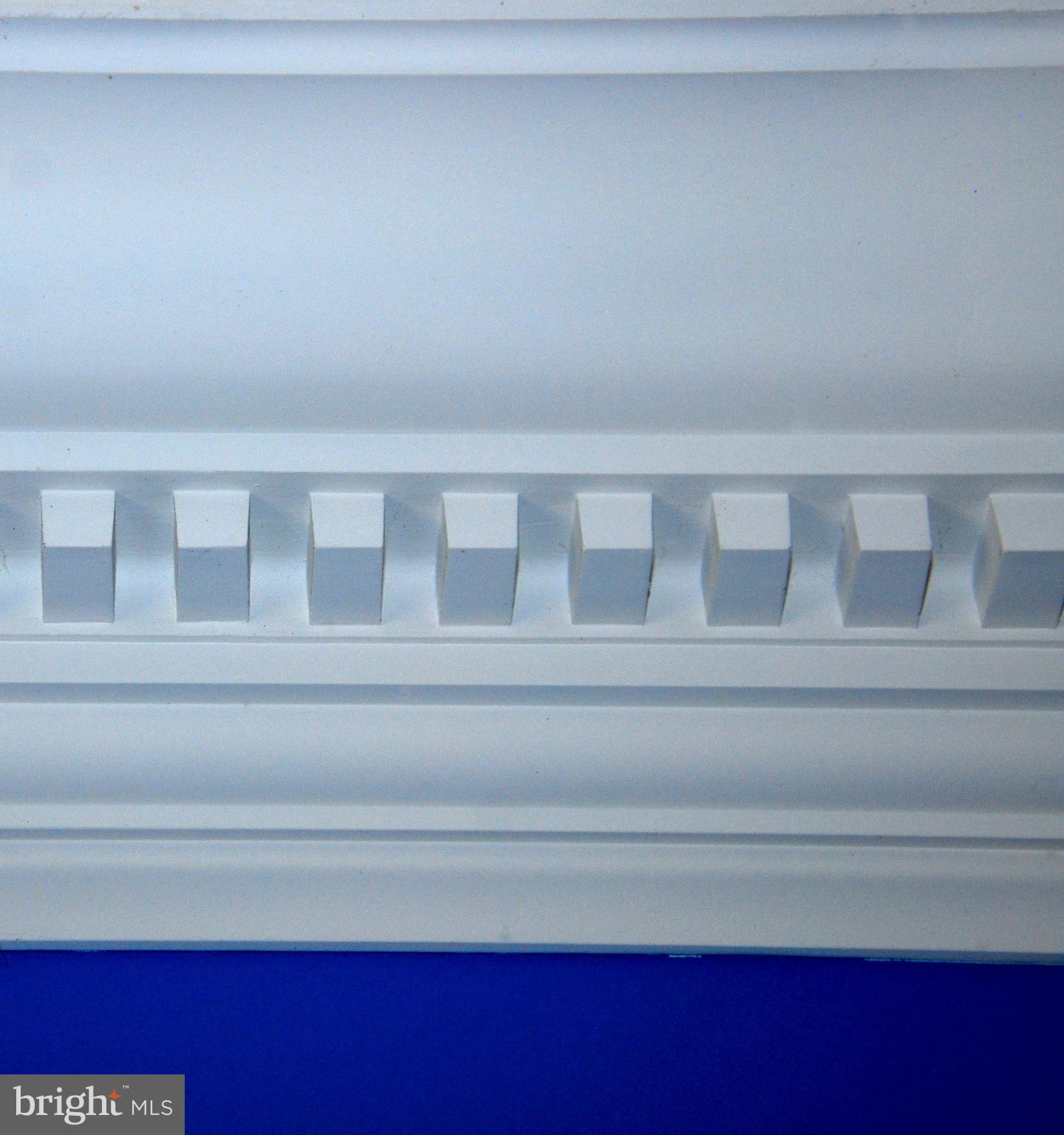 490 Willow Road Nottingham, PA 19362 - Photo 36 of 50 Gorgeous dentil moldings