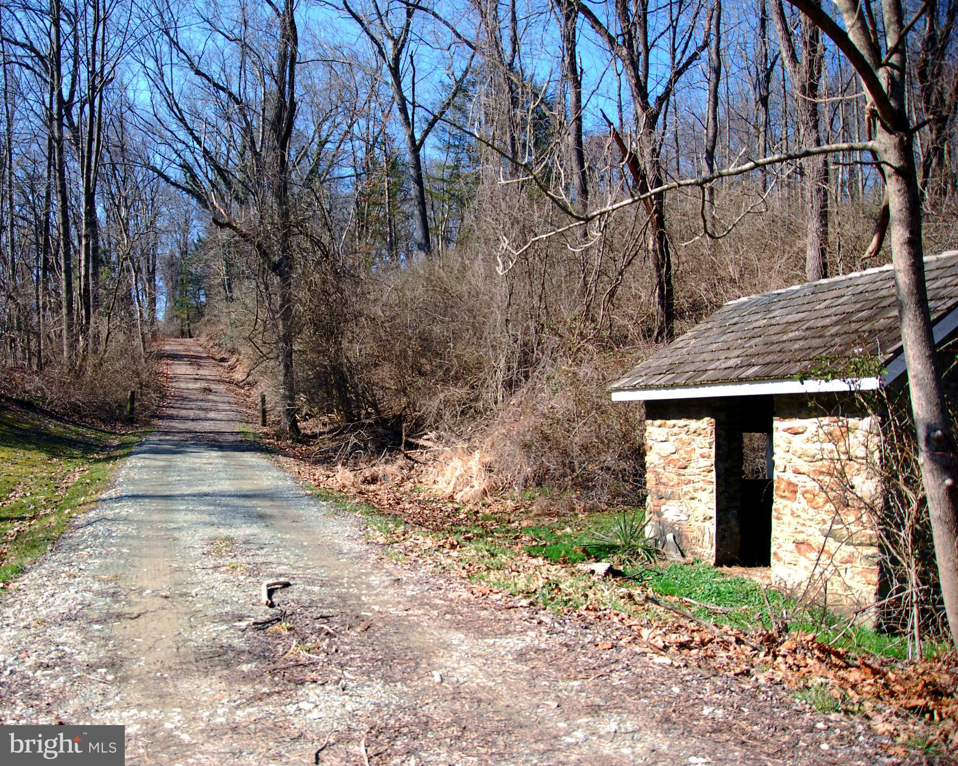 490 Willow Road Nottingham, PA 19362 - Photo 9 of 50 There is an old pool behind the spring house