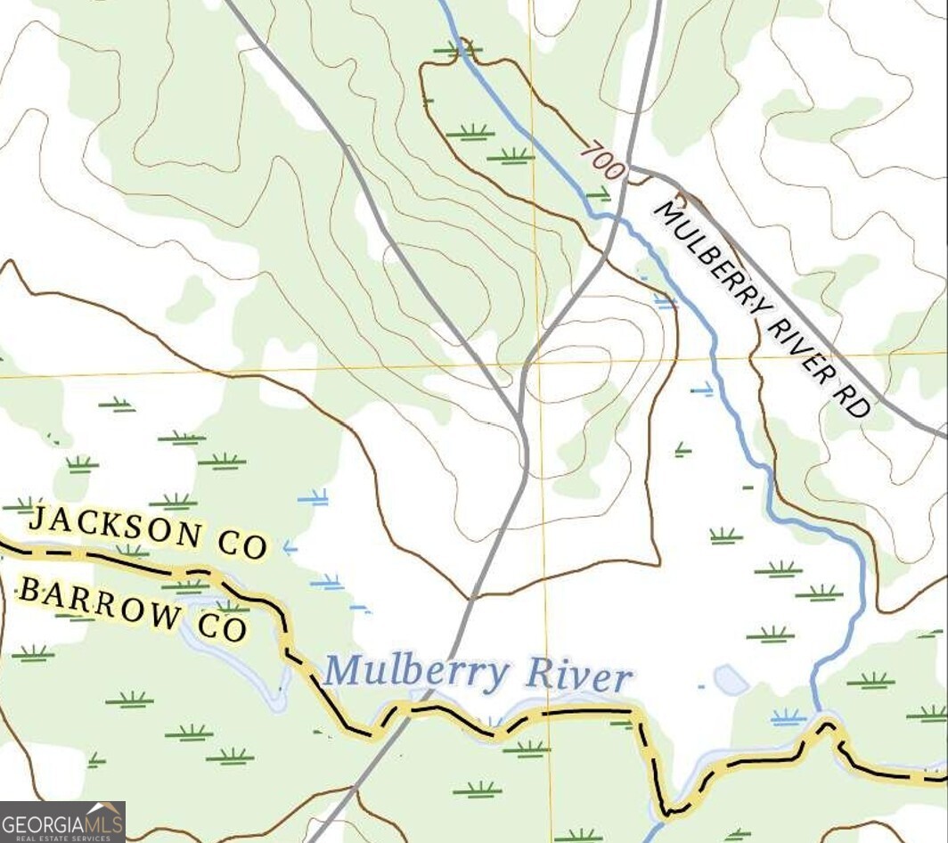 0 Wh Hayes Road Winder, GA 30680 - Photo 3 of 7