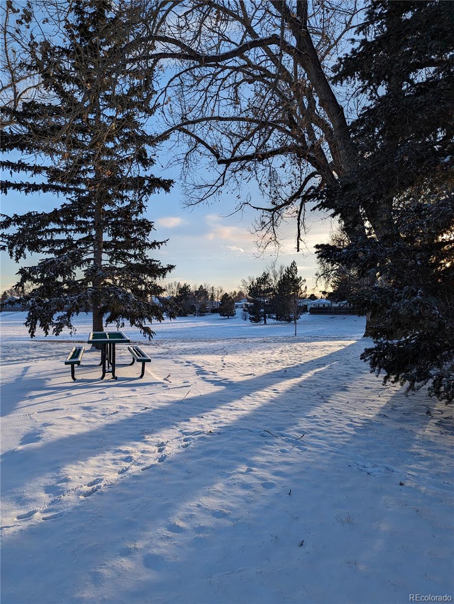 6057 Jay Street Arvada, CO 80003 - Photo 24 of 25 a view of yard with tree and wooden fence
