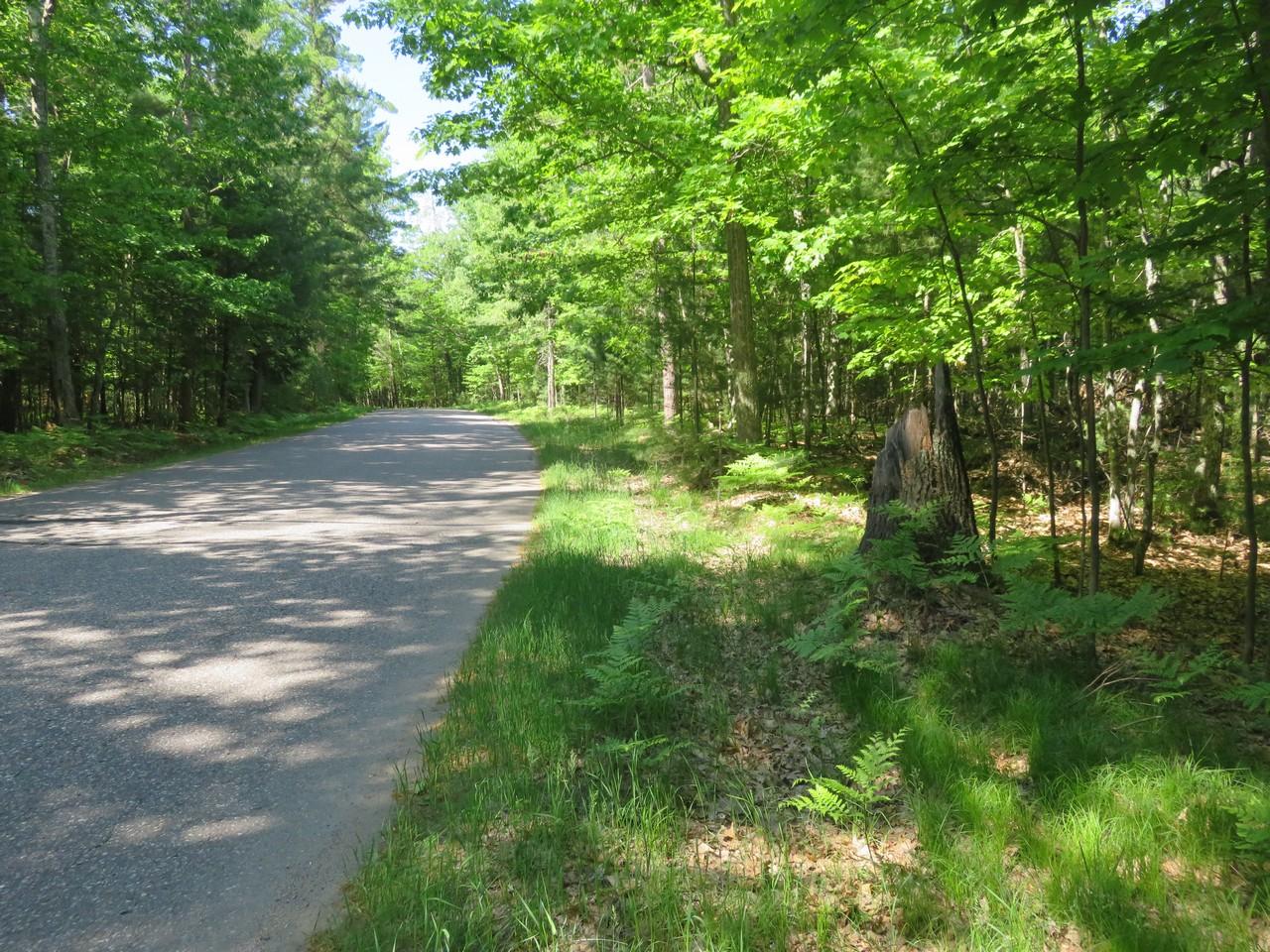 Three Colonel Himes Road, Unit LOT 2 Three Lakes, WI 54562 - Photo 4 of 12 Gallery Image 4