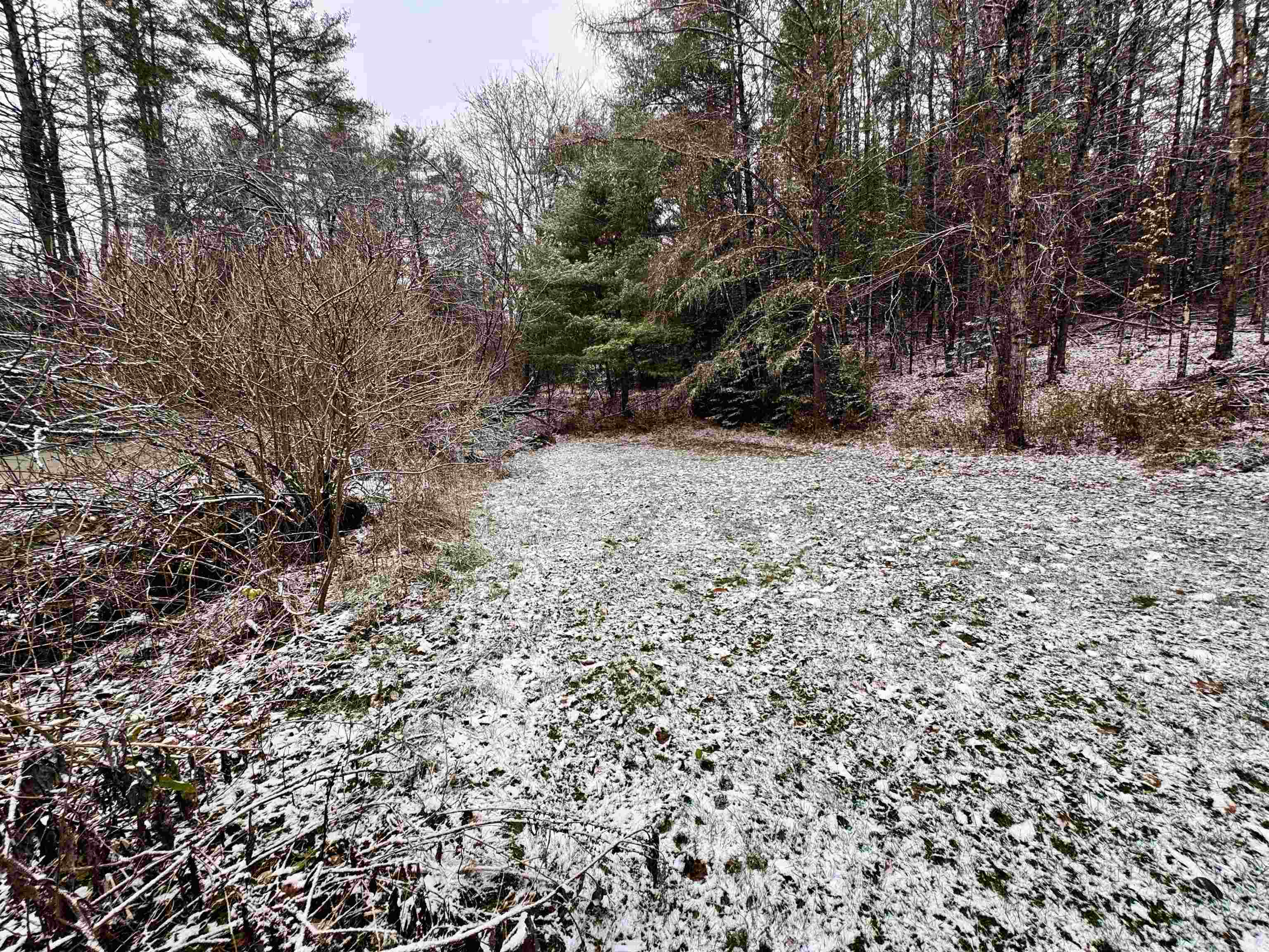 205 Hurd Hill Road Lyman, NH 03585 - Photo 22 of 26 Gallery Image 22