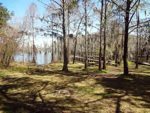 521 Sandy Point Road Campti, LA 71411 - Photo 13 of 19 Gallery Image 13