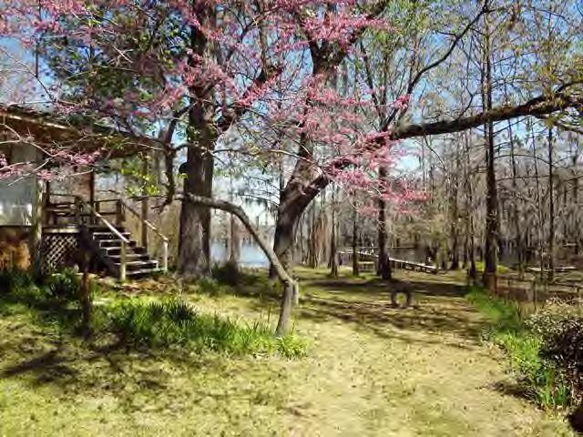 521 Sandy Point Road Campti, LA 71411 - Photo 14 of 19 Gallery Image 14
