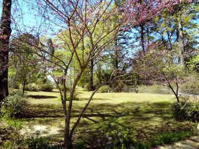 521 Sandy Point Road Campti, LA 71411 - Photo 16 of 19 Gallery Image 16