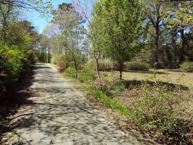 521 Sandy Point Road Campti, LA 71411 - Photo 19 of 19 Gallery Image 19