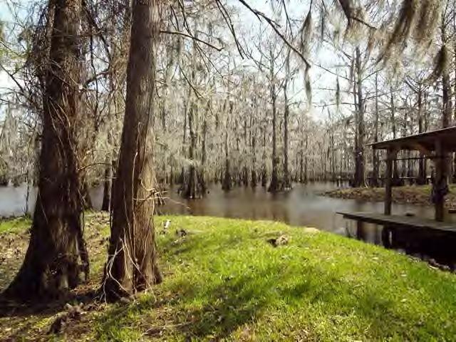 521 Sandy Point Road Campti, LA 71411 - Photo 2 of 19 Gallery Image 2