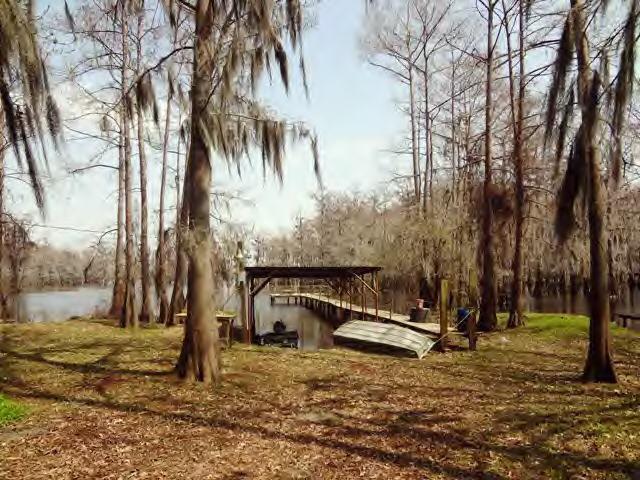 521 Sandy Point Road Campti, LA 71411 - Photo 3 of 19 Gallery Image 3