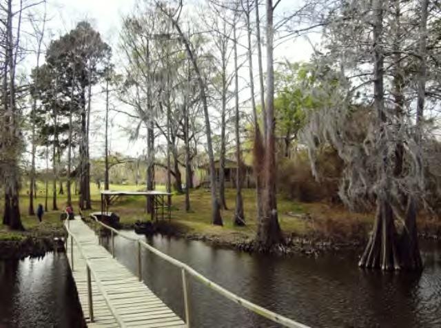 521 Sandy Point Road Campti, LA 71411 - Photo 4 of 19 Gallery Image 4