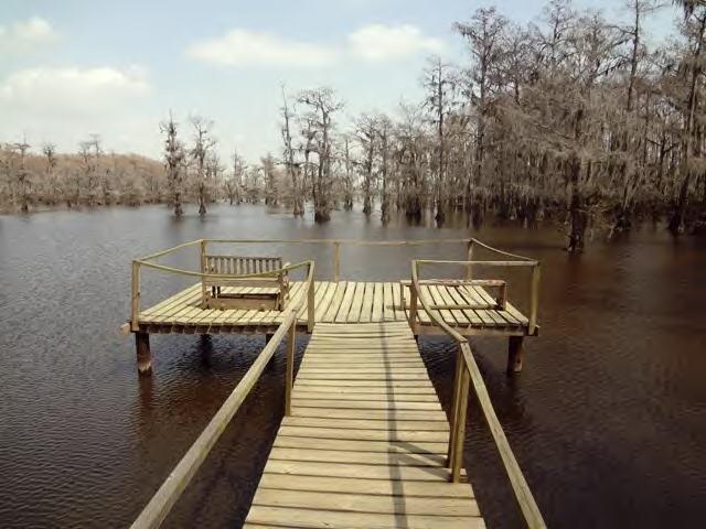 521 Sandy Point Road Campti, LA 71411 - Photo 5 of 19 Gallery Image 5