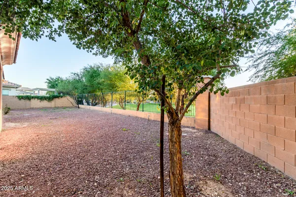 a view of a backyard