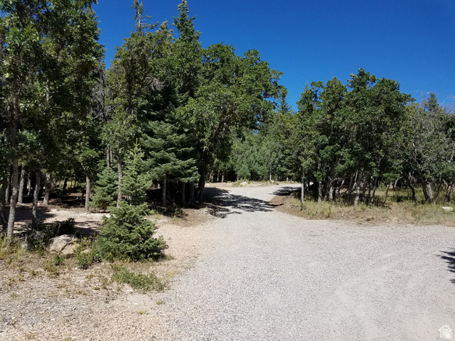 38 Pine Creek Road, Unit A38 Mount Pleasant, UT 84647 - Photo 11 of 18