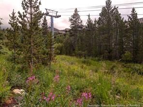 655 4 O Clock Road, Unit 109 Breckenridge, CO 80424 - Photo 14 of 17 a view of outdoor space and green space