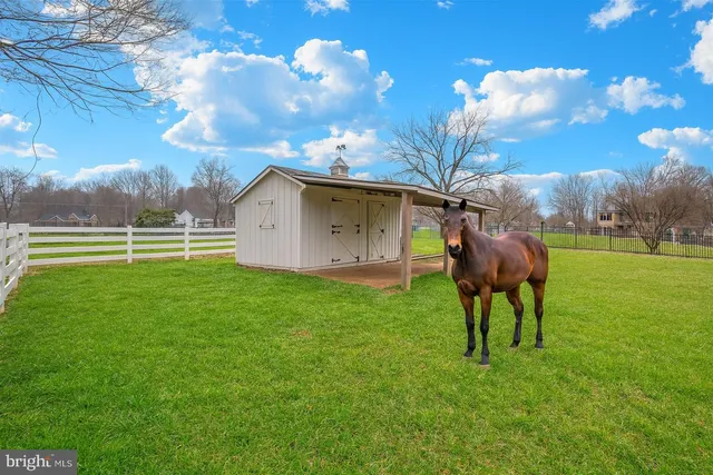 a view of an house with backyard space and garden