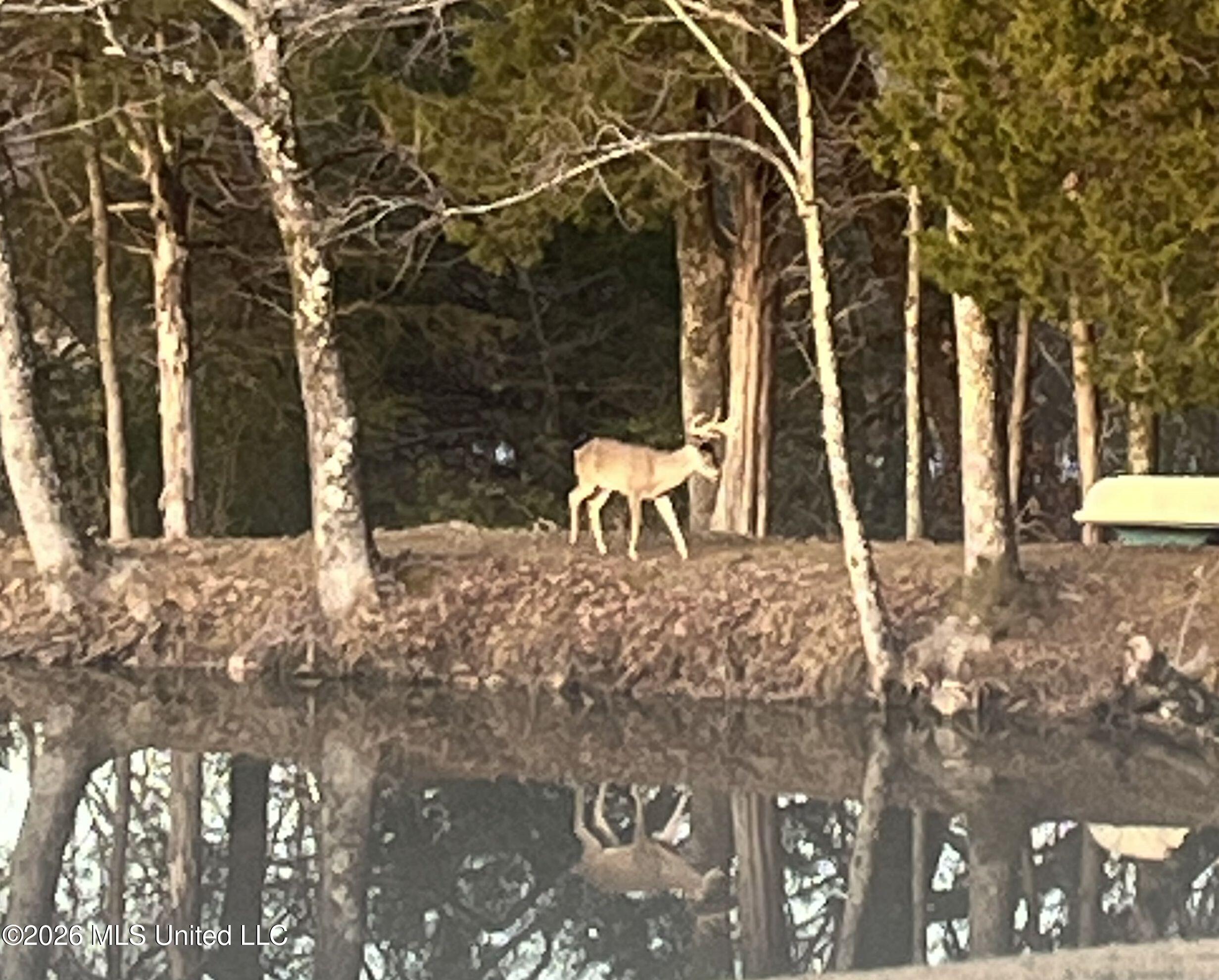 1311 Harmon Road Batesville, MS 38606 - Photo 180 of 180 1.2tmtm14