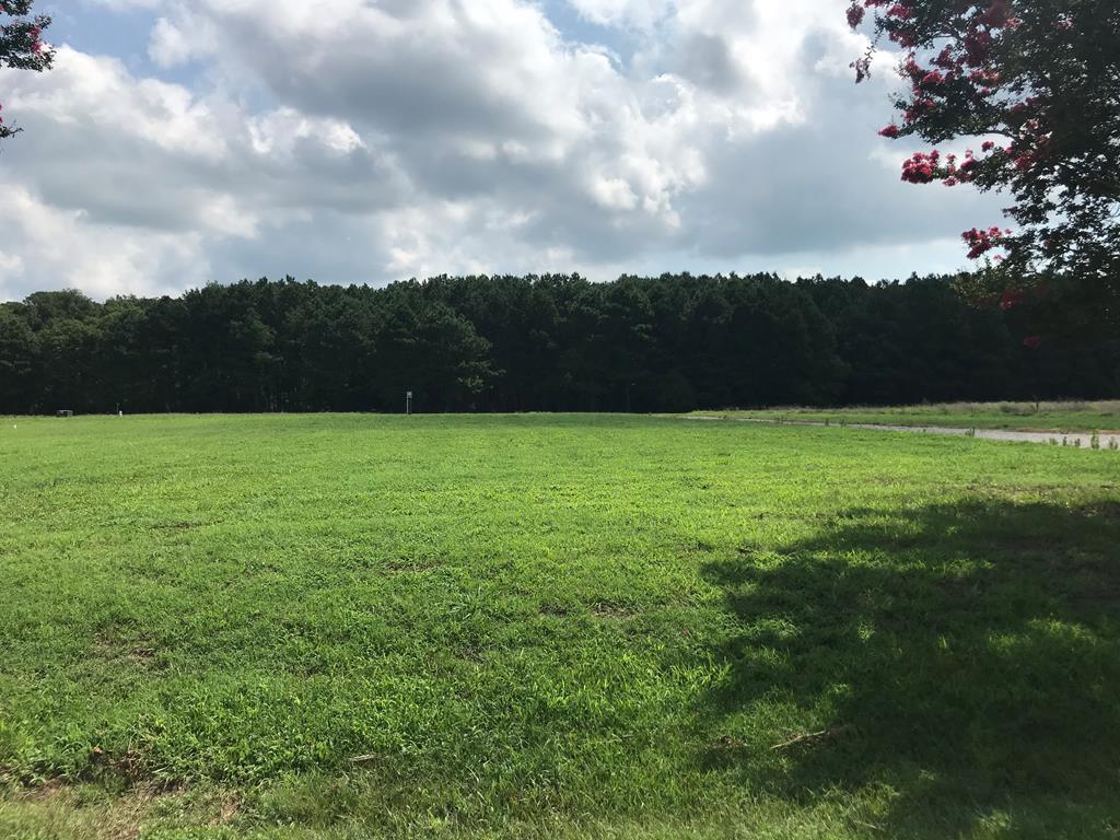 Lot 6 Clearview Road, Unit 6 Exmore, VA 23350 - Photo 1 of 2