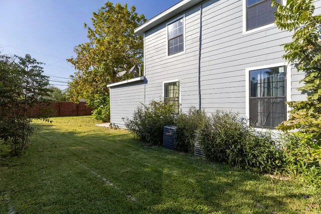 a view of a backyard with plants and large tree