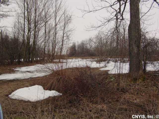 Lot#1 Limburg Forks Road Carthage, NY 13619 - Photo 1 of 1 Land