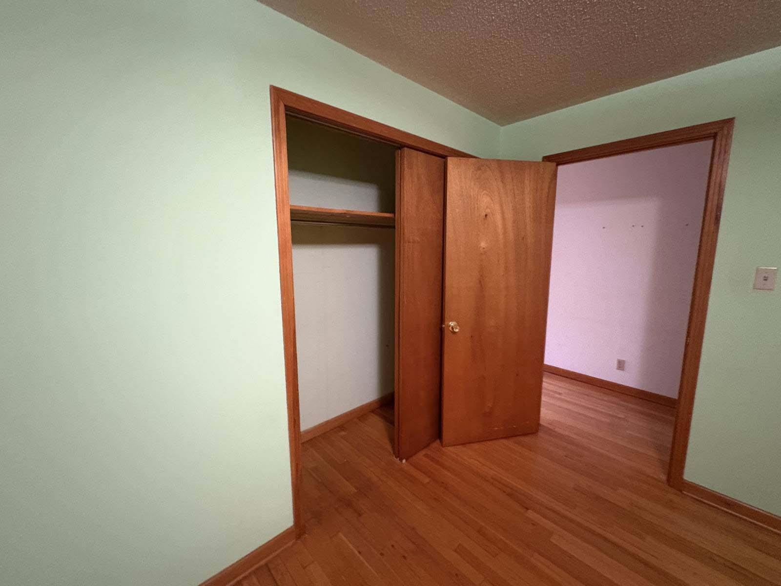 8355 Craven Road Bartlett, TN 38002 - Photo 22 of 28 Unfurnished bedroom with light wood-type flooring, a textured ceiling, and a closet