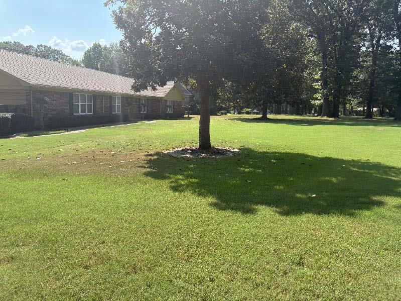 8355 Craven Road Bartlett, TN 38002 - Photo 27 of 28 View of green lawn