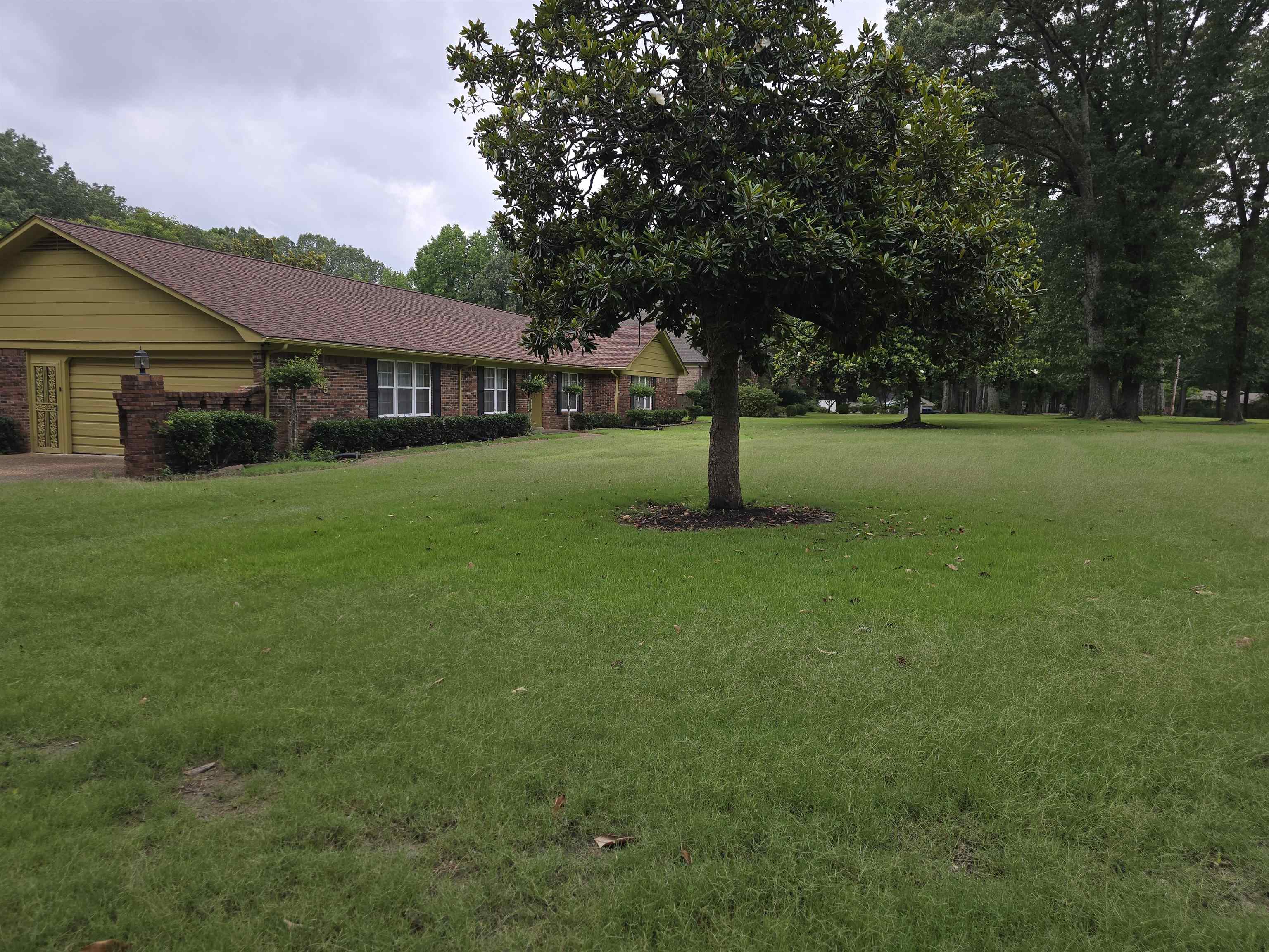 8355 Craven Road Bartlett, TN 38002 - Photo 9 of 28 View of green lawn with a garage