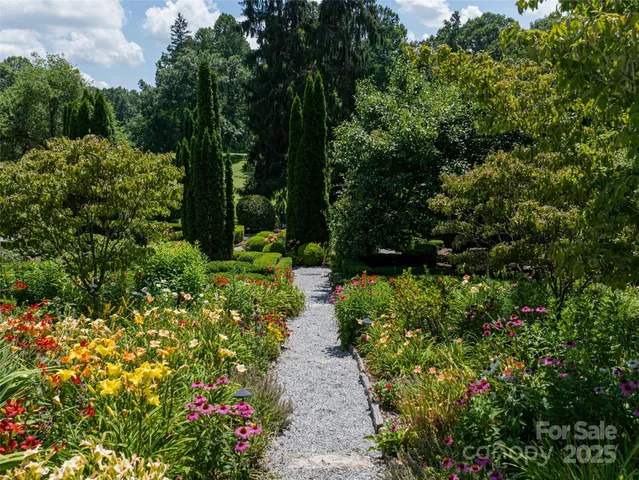 a view of a pathway with plants and large trees