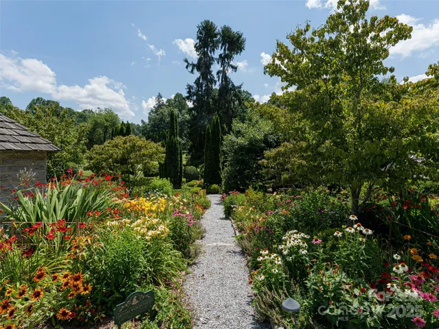 a picture of flowers