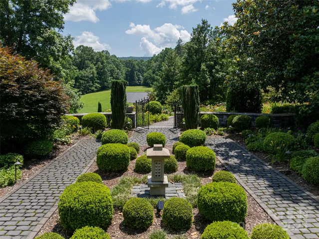 a view of a garden with plants and large trees
