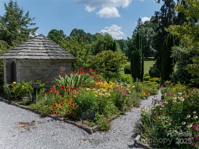a view of a garden with flowers