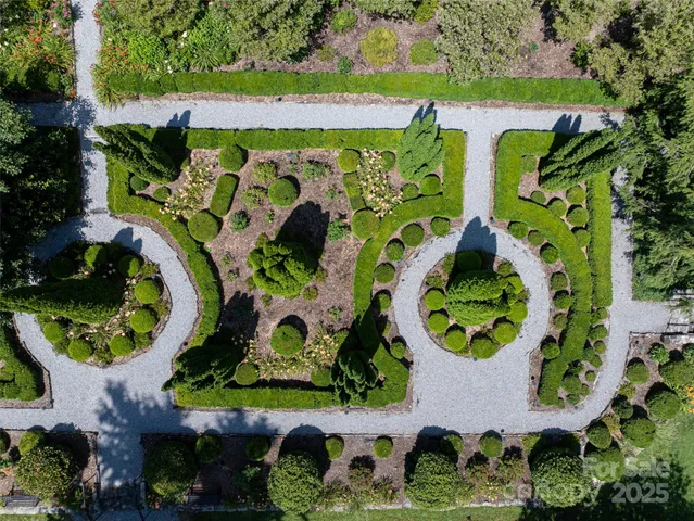 an aerial view of a bunch of plants and trees