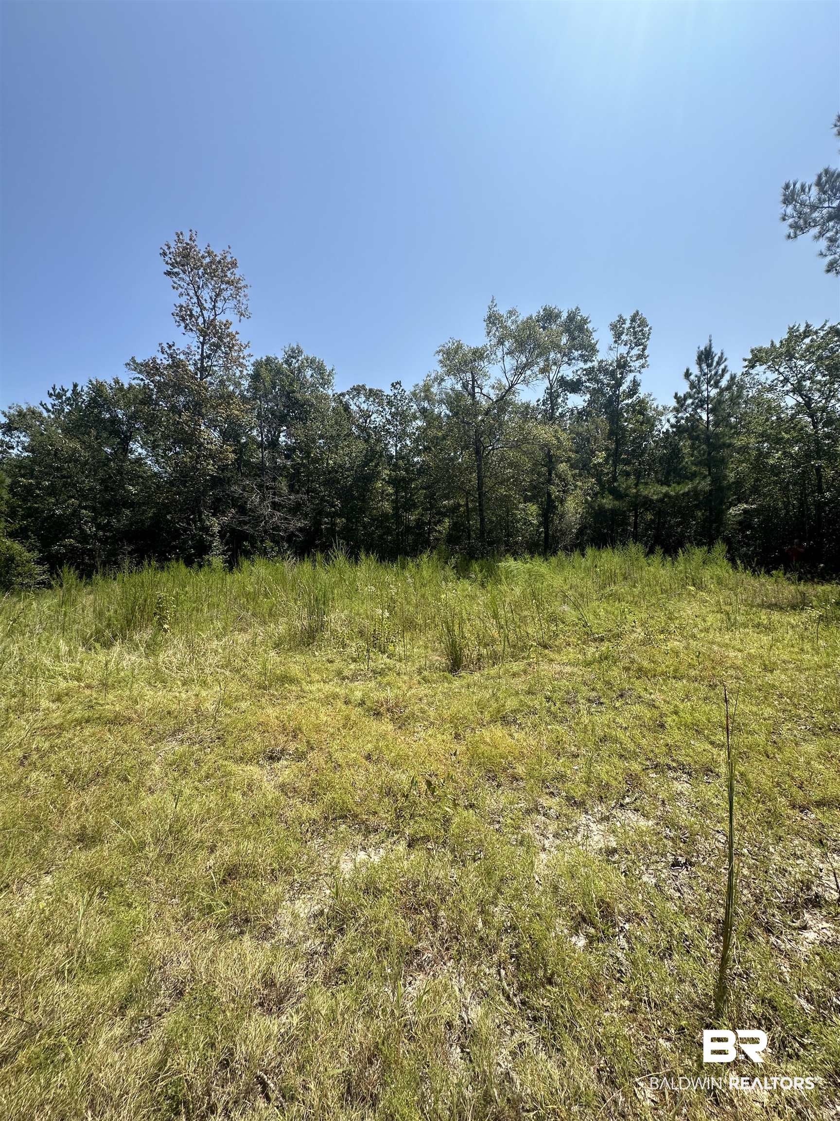17175 Kelly Road Mount Vernon, AL 36560 - Photo 20 of 30 View of local wilderness