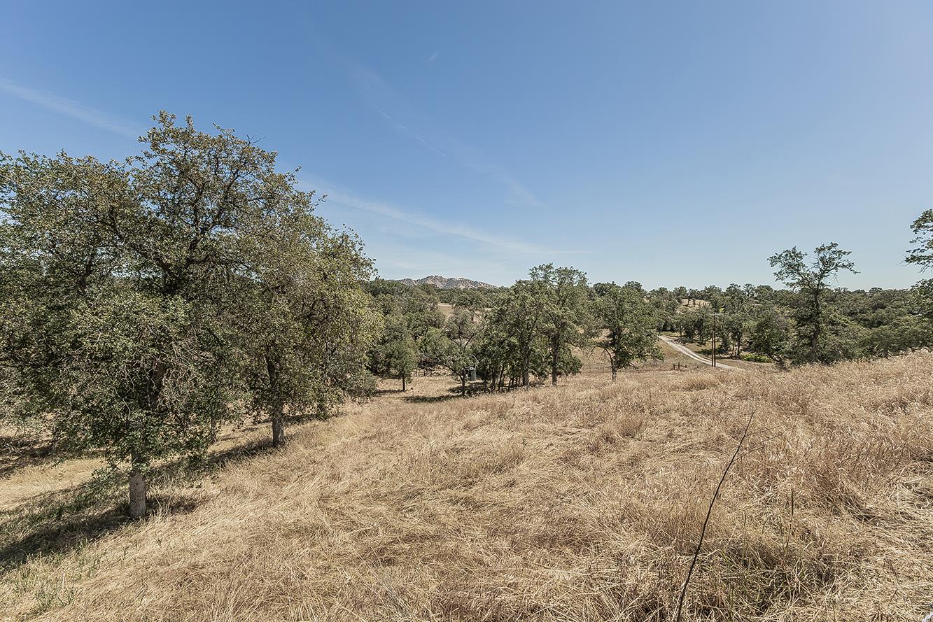14815 Garlock Lane Prather, CA 93651 - Photo 54 of 80 a view of a forest with trees in the background