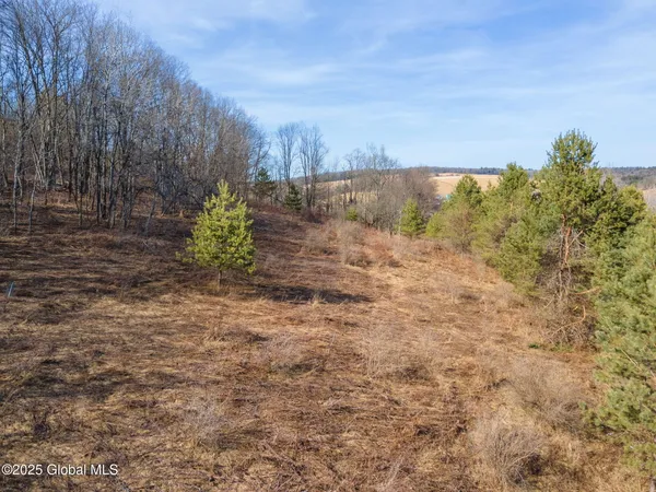 $30,000 | L20.2 Indian Brook Road, Greene, NY 13778