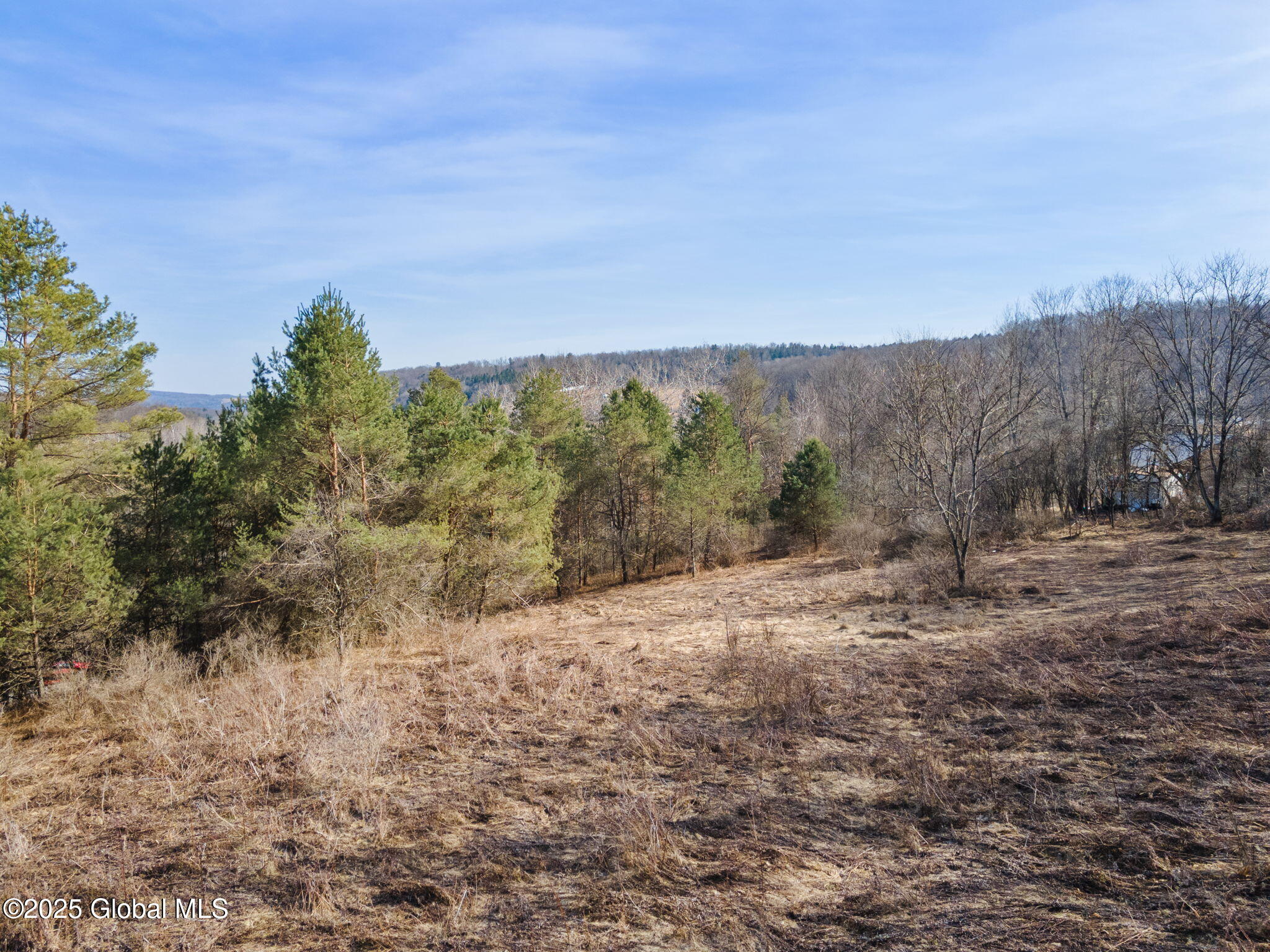L20.2 Indian Brook Road Greene, NY 13778 - Photo 11 of 21 10-IndianBrookRd_10