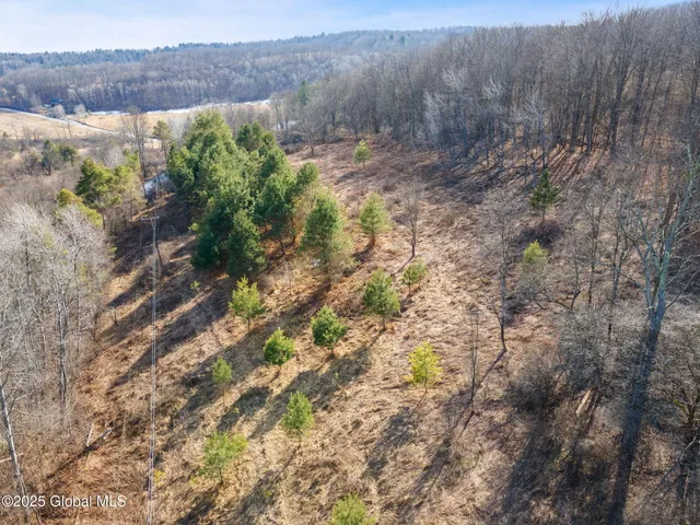 $30,000 | L20.2 Indian Brook Road, Greene, NY 13778