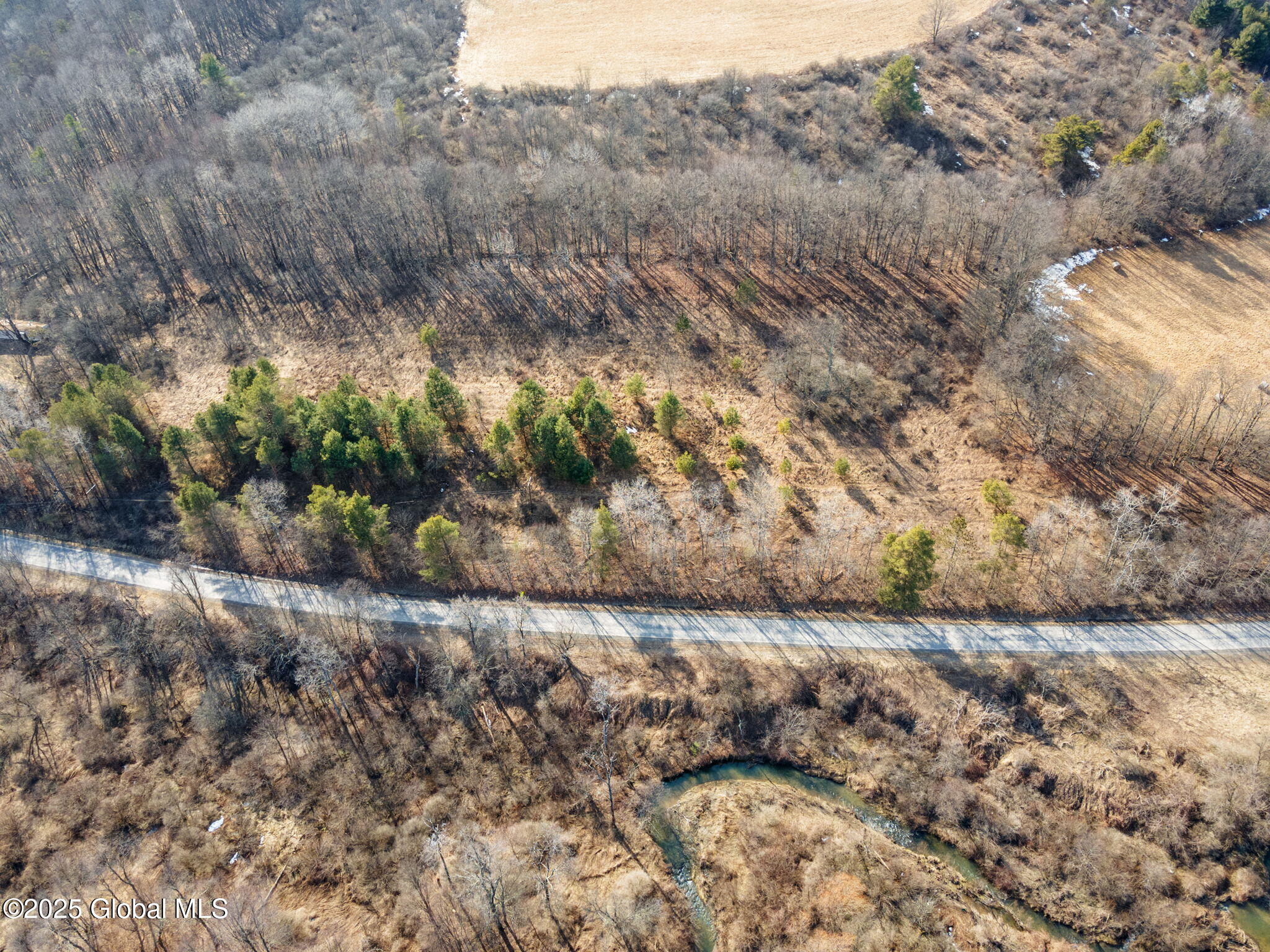 L20.2 Indian Brook Road Greene, NY 13778 - Photo 20 of 21 19-IndianBrookRd_19